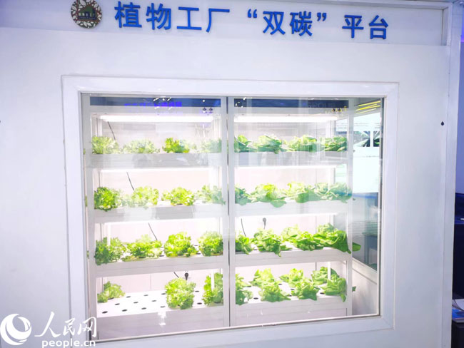 財經觀察 激發創新源頭活力，科技賦能數字內容，讓生活更精彩